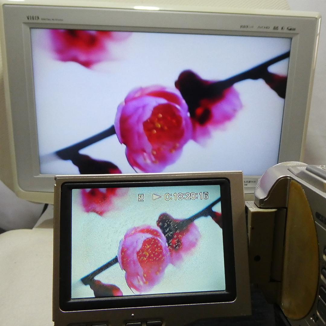 動作品ソニー DCR-TRV10 Mini DVビデオカメラDVDダビングに最適