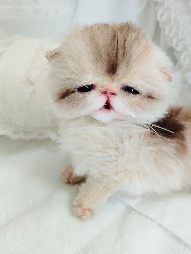 生後２週間♡ふにゃくた♡子猫ちゃん♡アートドール♡ぬいぐるみ♡