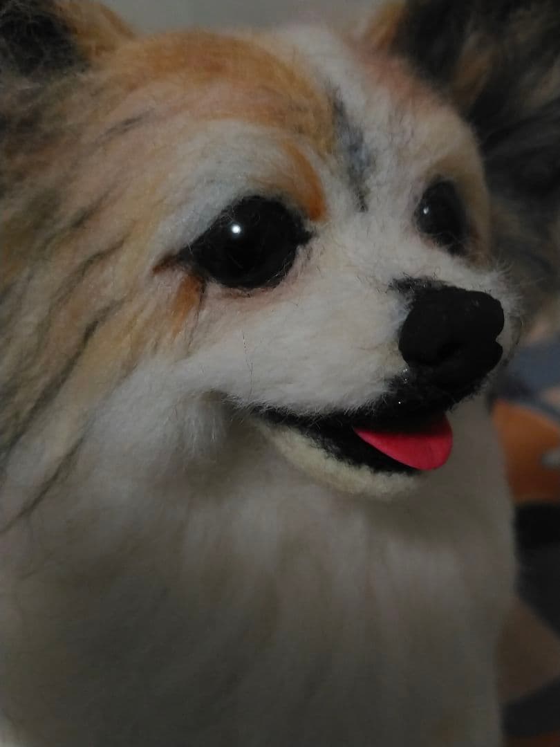 ぽっぽオーダー♡3ワンコちゃん♡