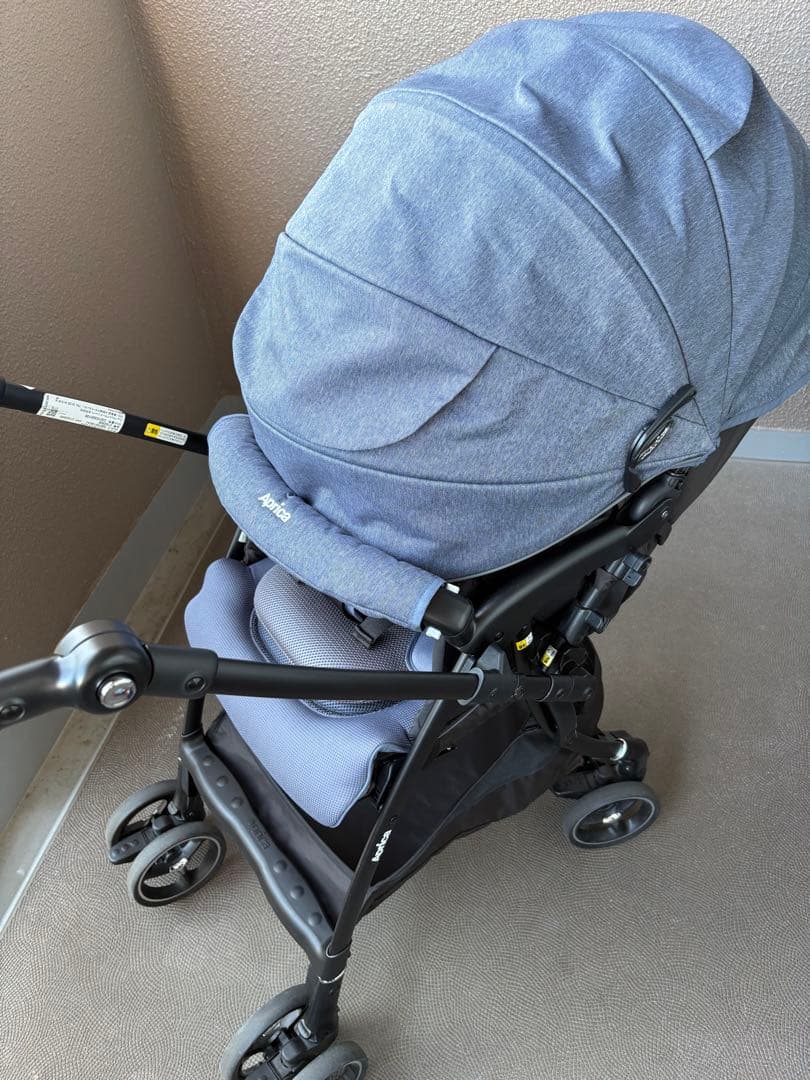 ぷりぷりぷりん　ラクーナ ビッテクッション 2023年モデル