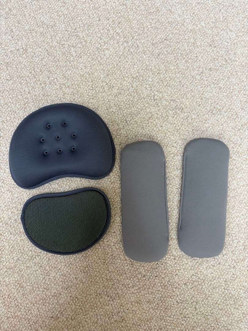 ぷりぷりぷりん　ラクーナ ビッテクッション 2023年モデル