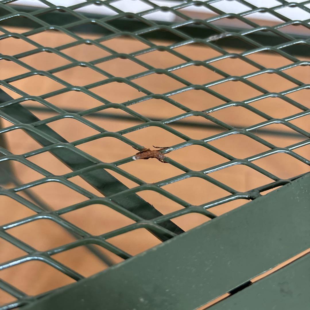 希少　NATURE TONES 折りたたみ　Zテーブル　グリーン