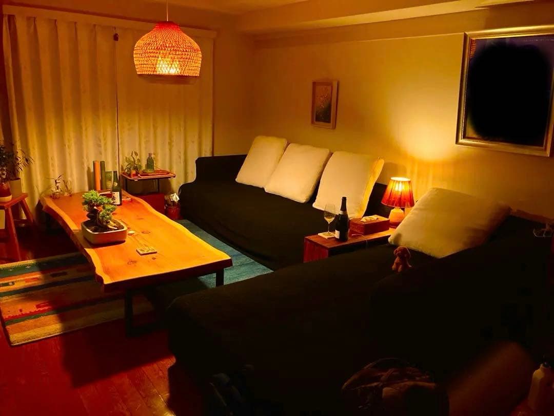 定価約200万円　リーンロゼ　オピューム　 Hランク　カウチソファ