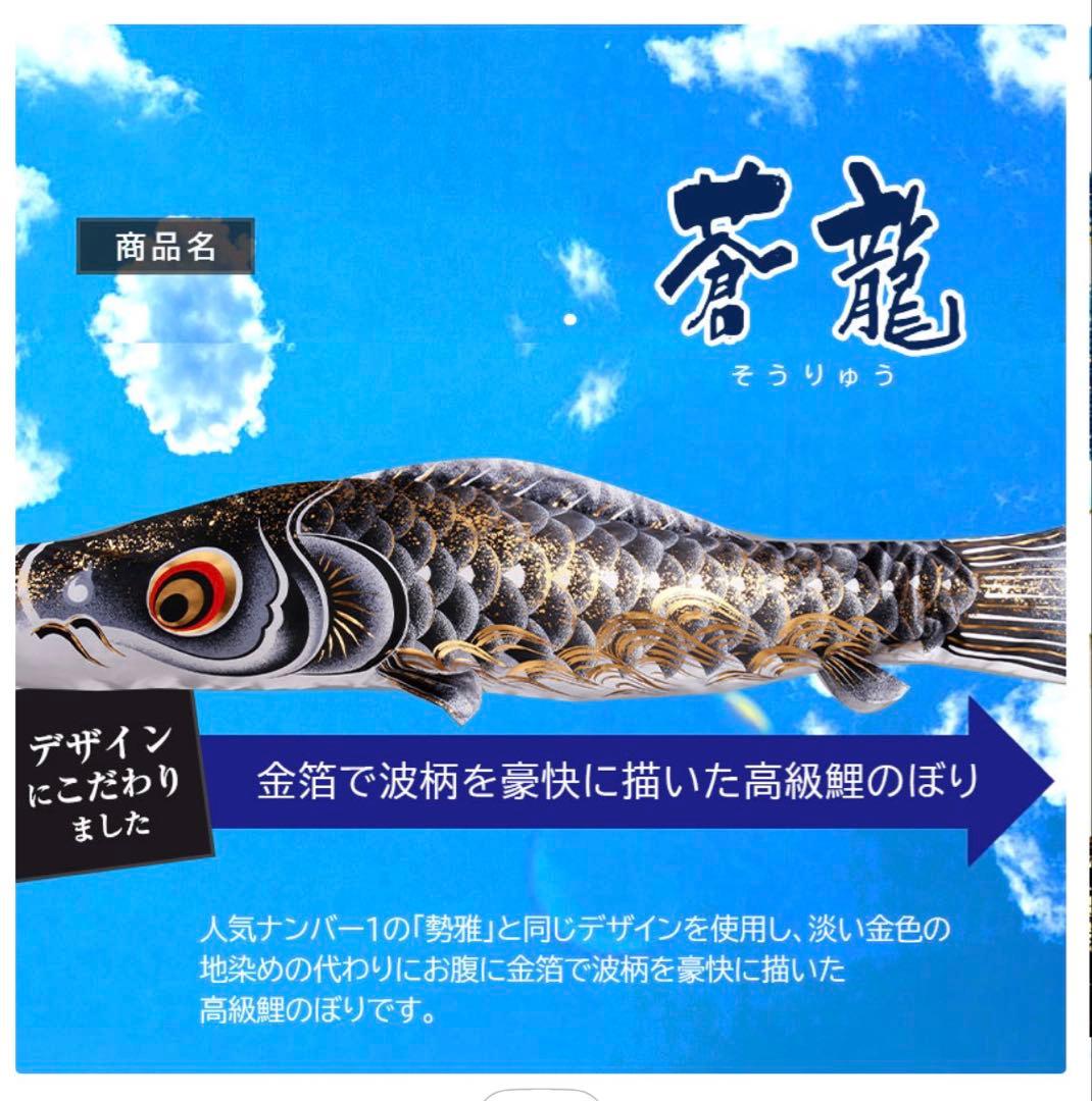 鯉のぼり 1.5m 蒼龍　金箔　ベランダ用