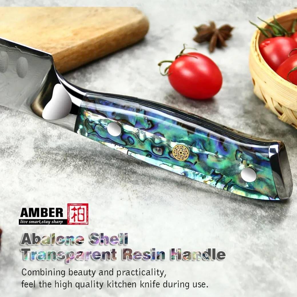 67層 ダマスカスVG10 筋引 カービング ナイフ アワビシェル透明樹脂柄