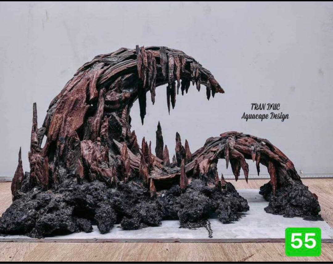 サンプル製品画像のセット。爬虫類ゲージ。水槽。流木。水生植物。流木 アクアリウム