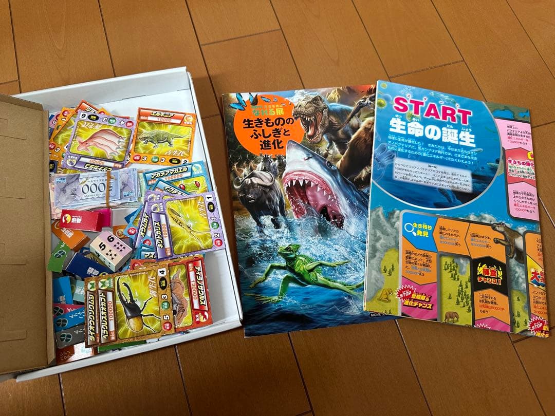 講談社の動く図鑑 move 13冊 まとめ売り