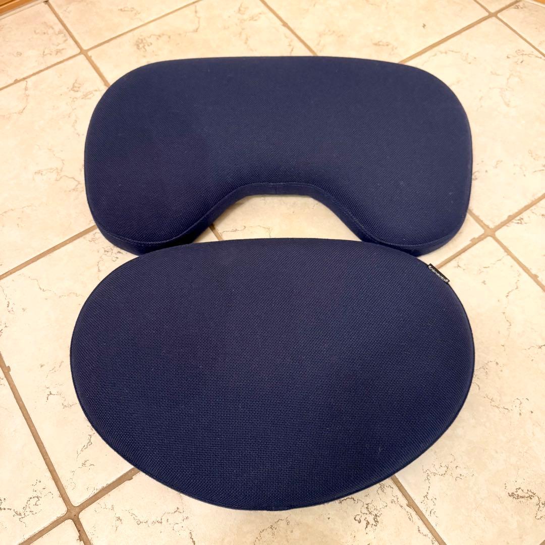 【美品】Rybo リボ社 バランスイージー バランスチェア ネイビー カバー付