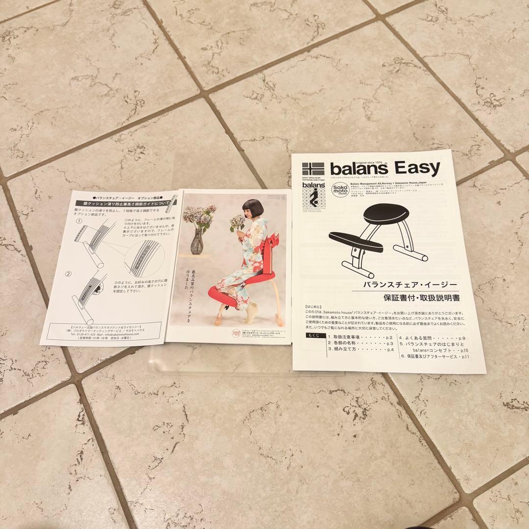 【美品】Rybo リボ社 バランスイージー バランスチェア ネイビー カバー付