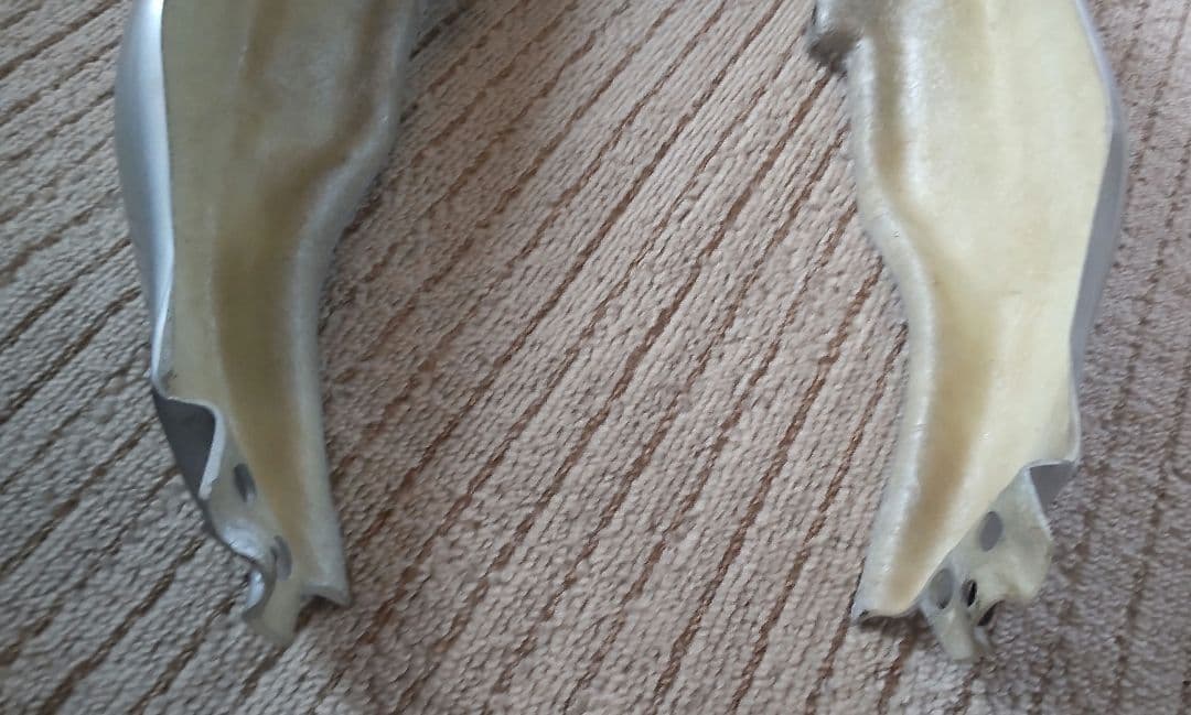 バリオステールカウル