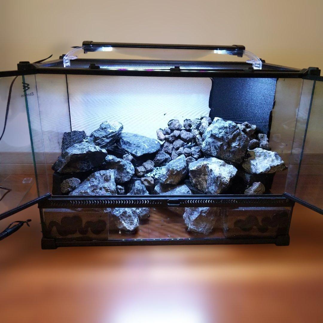 【完成品】滝のあるアクアテラリウムの土台