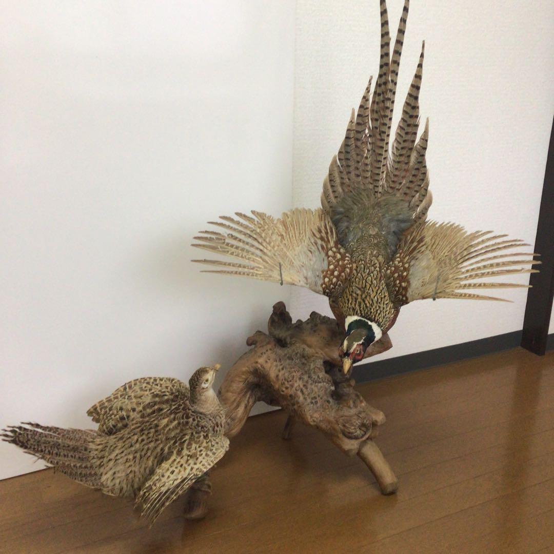 NO.288 飛翔する雉の置物 雄、雌