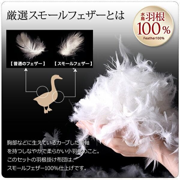 65万セット突破！大人気！お得な羽根布団8点セット【シングル】24