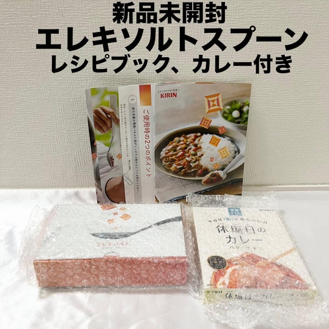 【新品未開封】エレキソルトスプーン ES-S001 レシピブック 無塩カレー付き