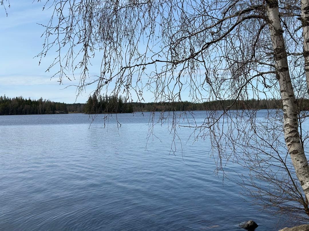 ABU・アブ Ambassader 5500 CDL ウッドノブハンドル限定版