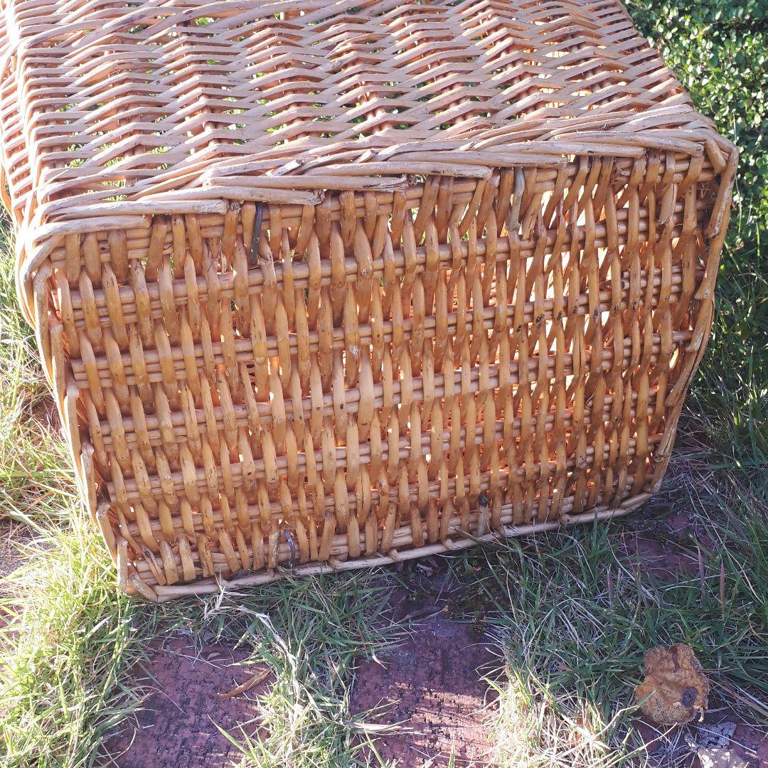 バスケット かご 洗濯カゴ ランドリー アンティーク 籠 アラログ