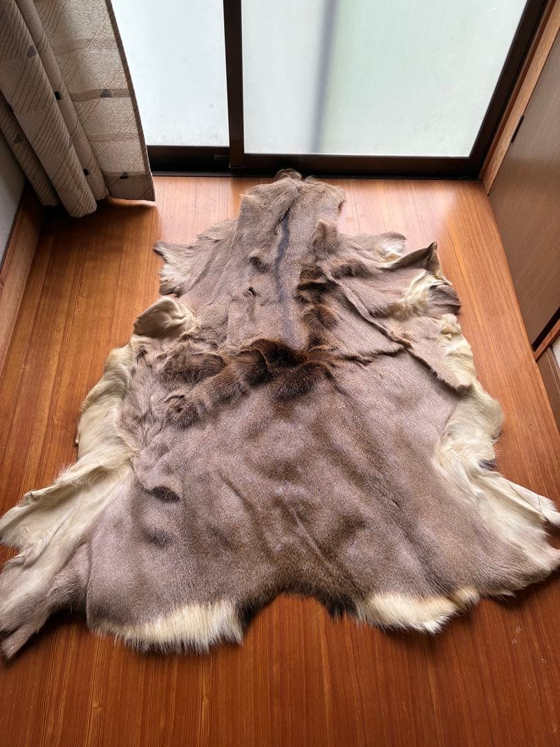 北海道産　鹿　毛皮　ラグ　マット　140×120 値下げ交渉あり