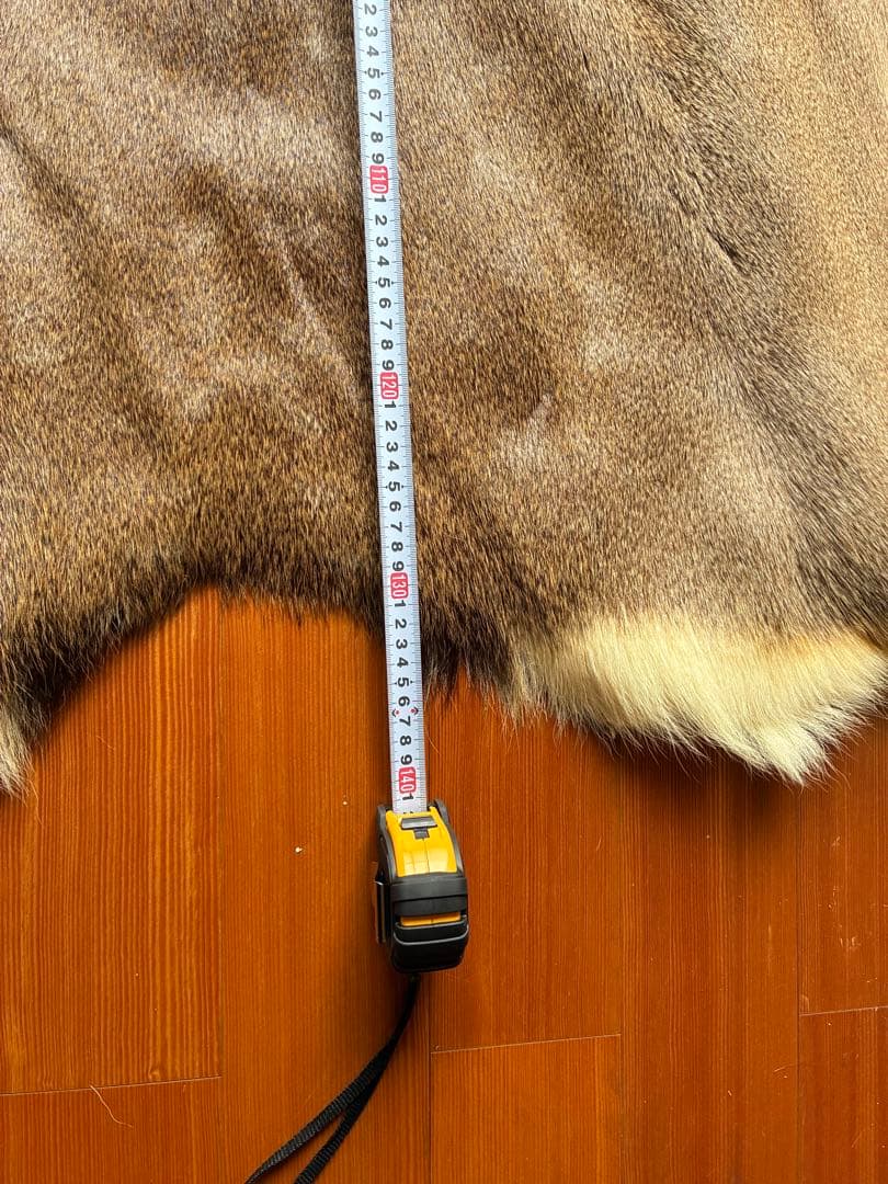 北海道産　鹿　毛皮　ラグ　マット　140×120 値下げ交渉あり