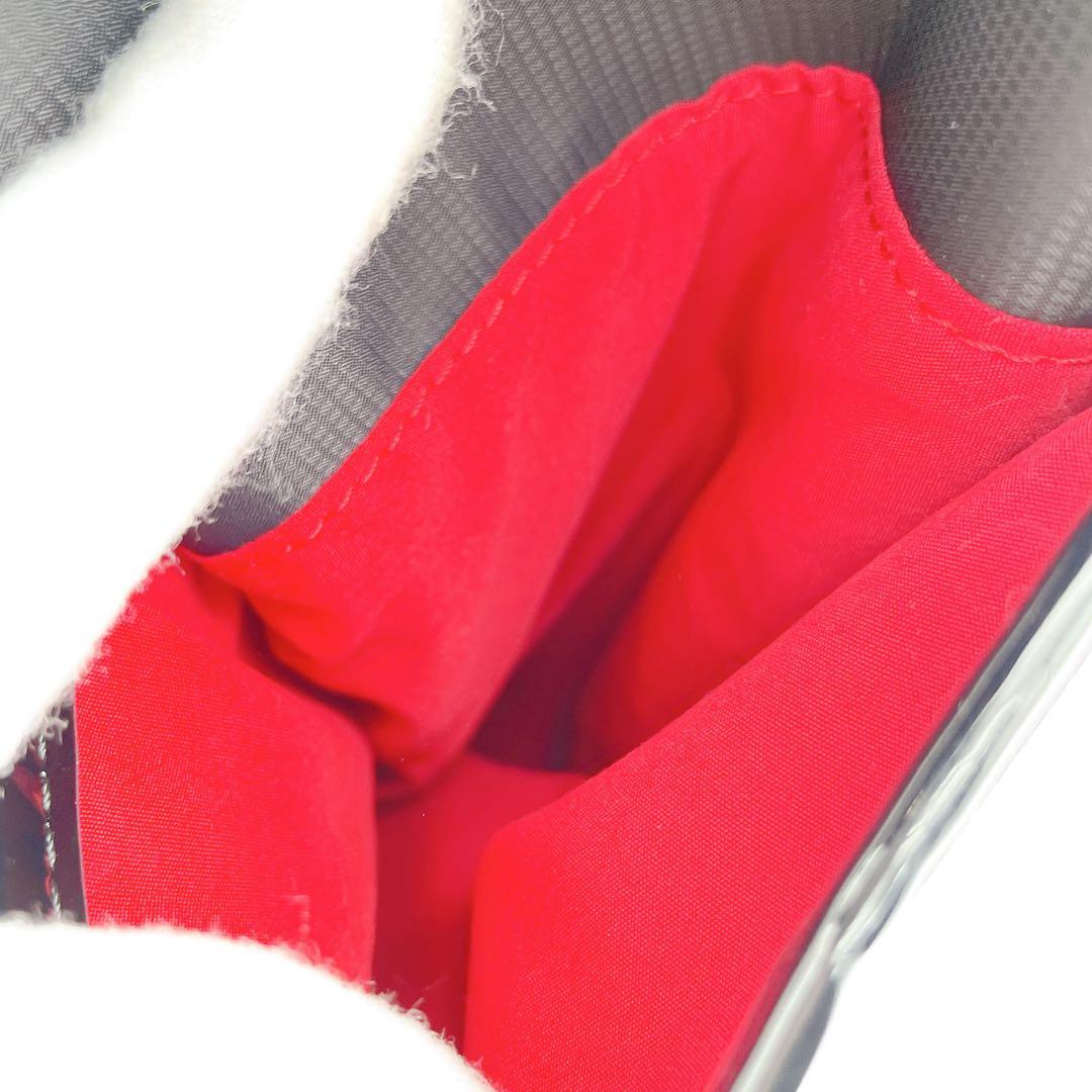 SWANY スワニー　ハローキティ　キャリーバック