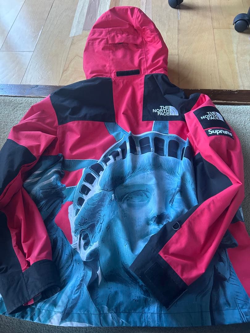 THE NORTH FACE × Supreme 自由の女神