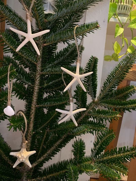 貝殻　クリスマス　オーナメント　ガーランド　飾り　南国　オシャレ　もみの木