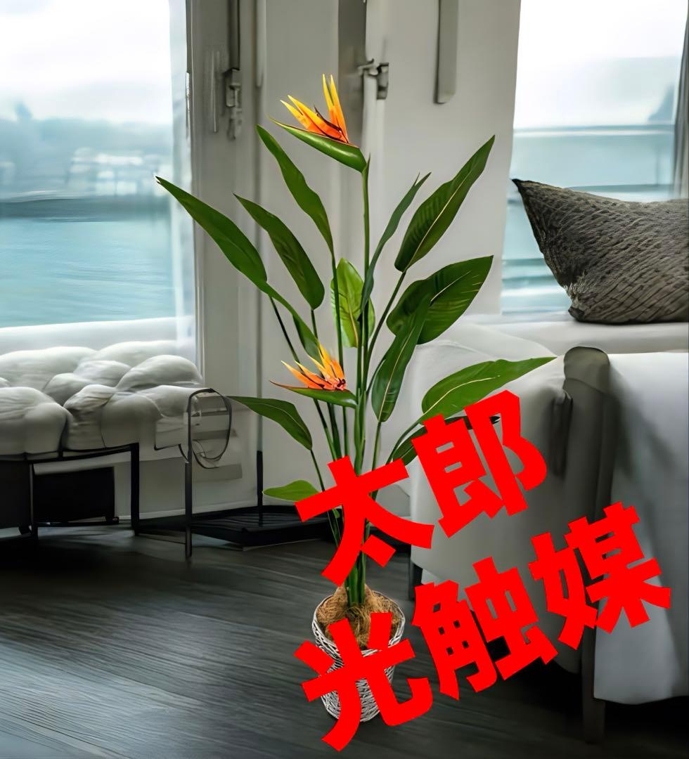 光触媒　人工観葉植物　オーガスタ　ストレッチア極楽鳥2輪付きabcg