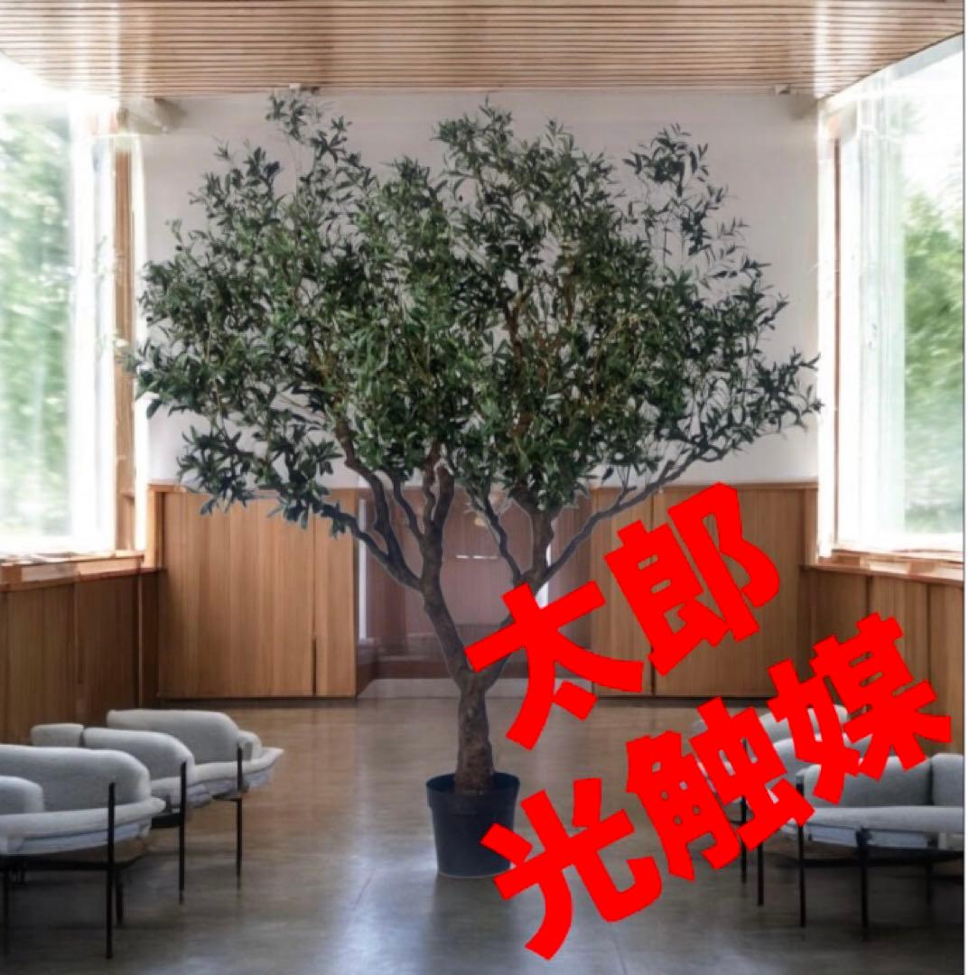 光触媒　人工観葉植物　ウォールグリーン　フェイクグリーン　オリーブ230