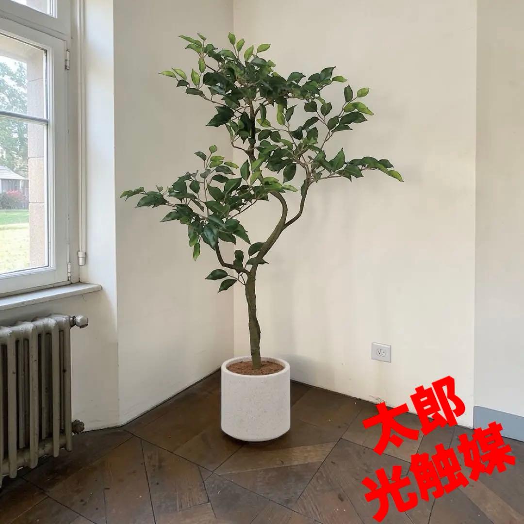 光触媒　人工観葉植物　ウォールグリーン　フェイクグリーン　ベンジャミンポット@p