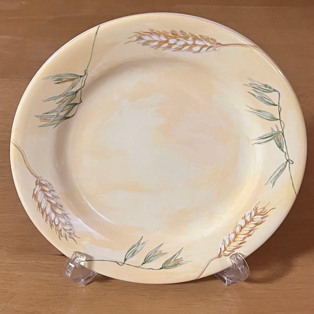 【レア美品】フランス製　ジアン★モワソン★プレート　2枚