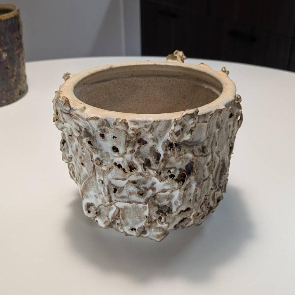 shoshi watanabe 植木鉢 作家鉢