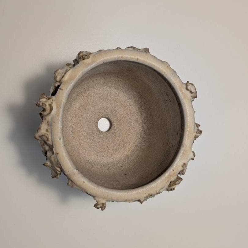 shoshi watanabe 植木鉢 作家鉢