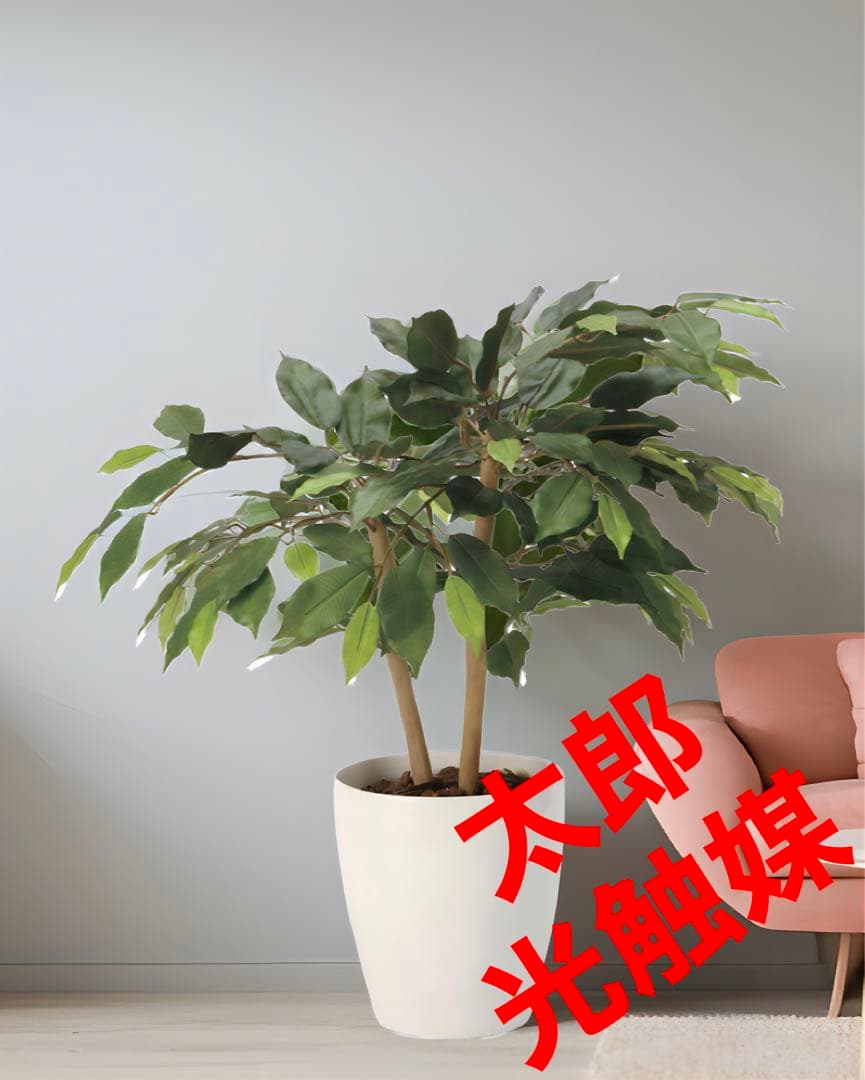 光触媒　人工観葉植物　ウォールグリーン　フェイクグリーン　ショートベンジャミン@