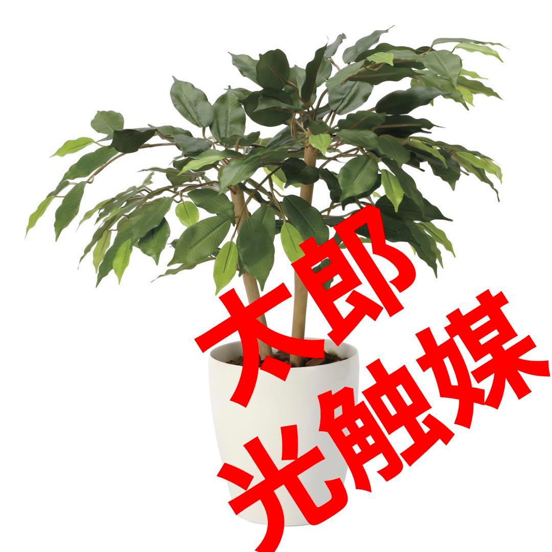 光触媒　人工観葉植物　ウォールグリーン　フェイクグリーン　ショートベンジャミン@