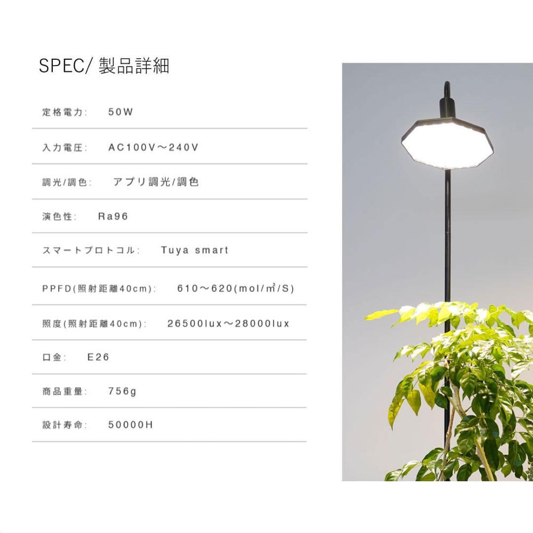 ROKI-OCTAGON-50W ロキ　オクタゴン　ブラック