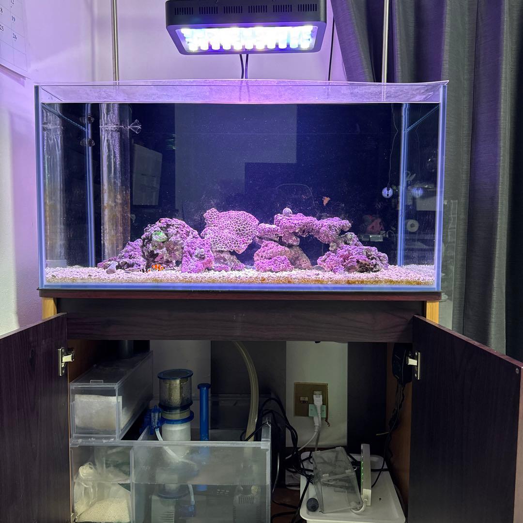 引き取り限定　90cmオーバーフロー水槽 セット売り