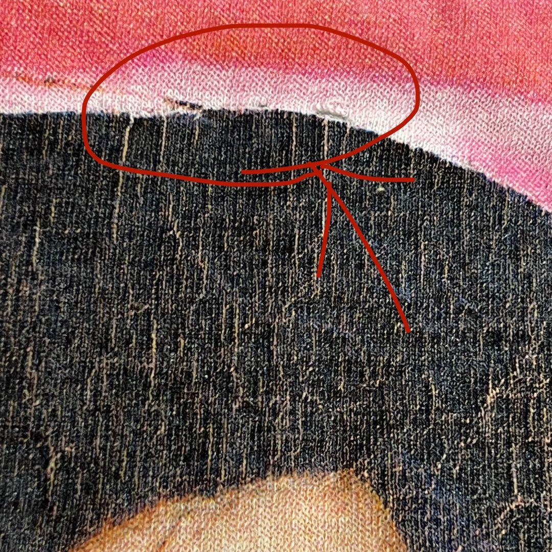 Björk（ビョーク）「POST」1996来日ツアー TシャツM（ヴィンテージ）