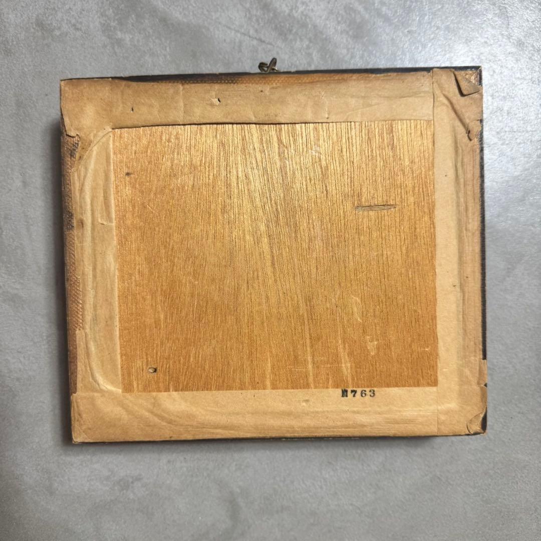 メガネアゲハ 標本 precis lemonias lemonias