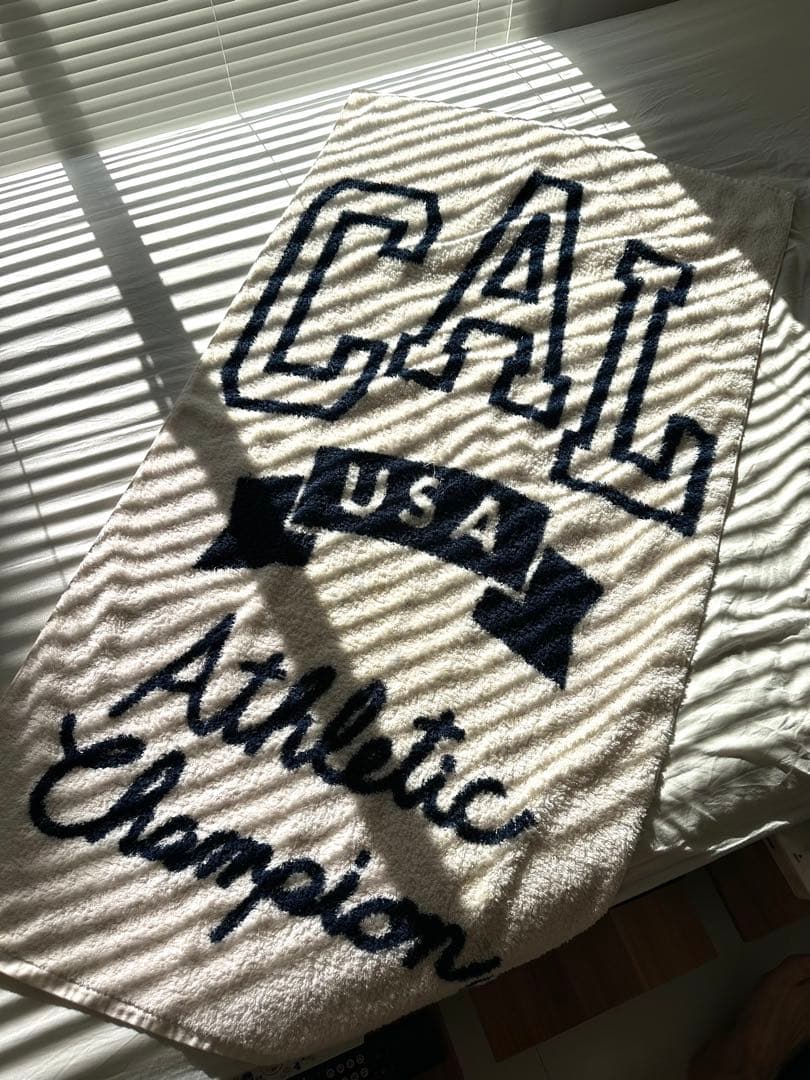 ジャーナルスタンダードファニチャー購入　ブランケット