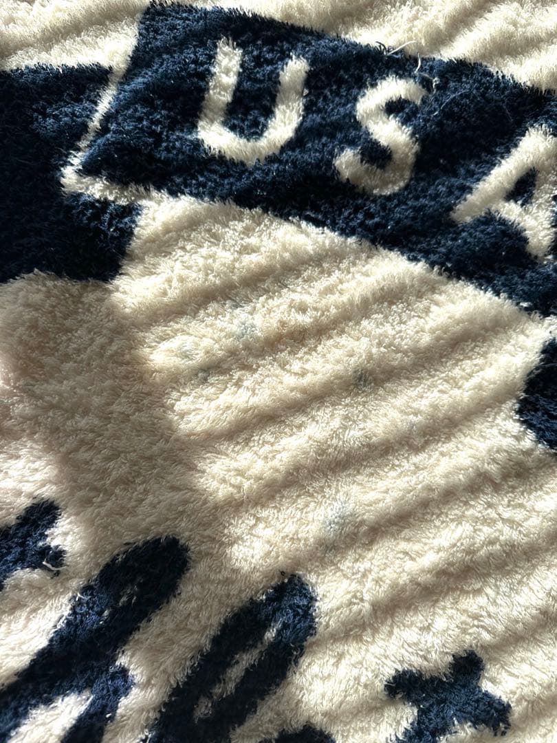 ジャーナルスタンダードファニチャー購入　ブランケット