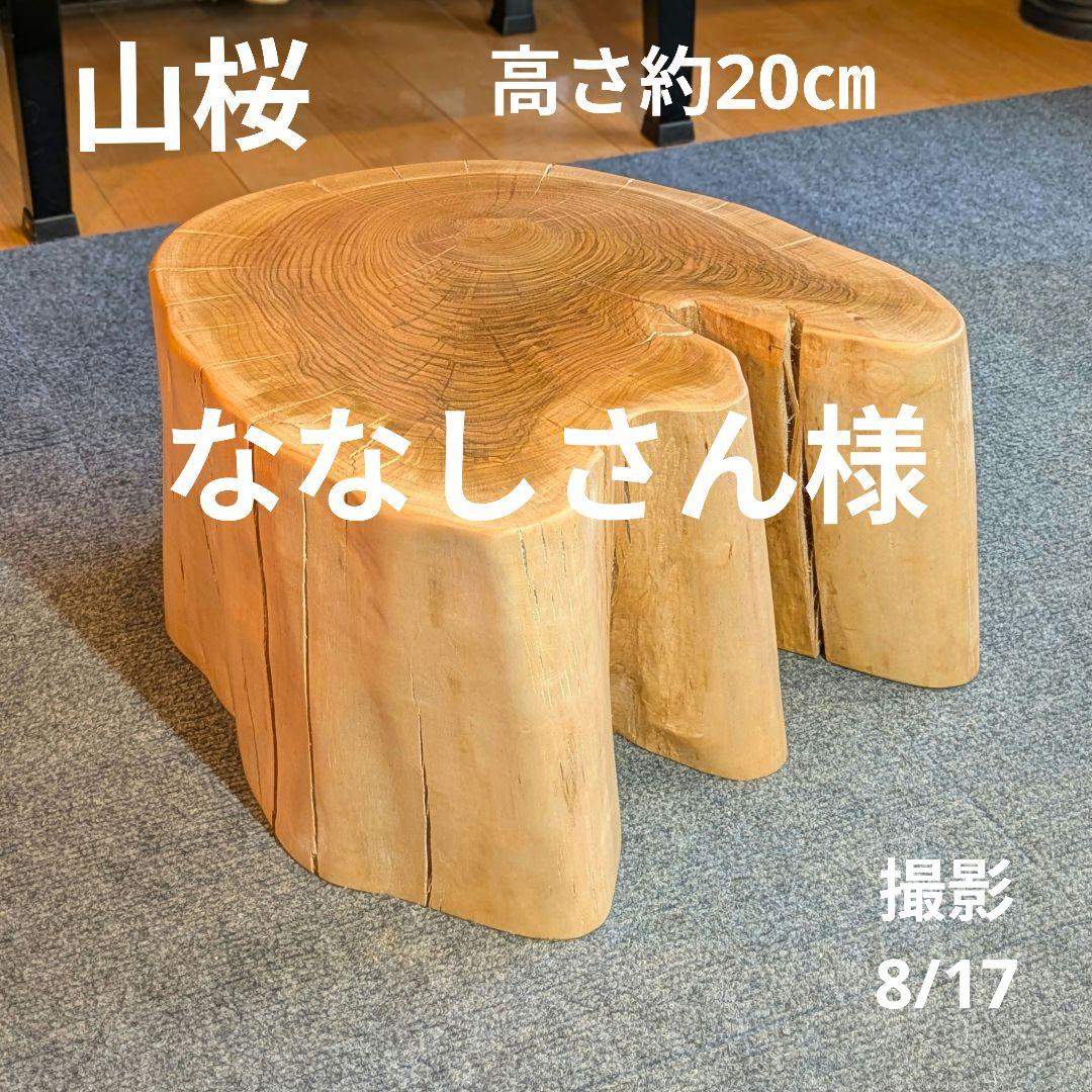 ななしさん 山桜 切り株 高さ約20㎝ 9000円