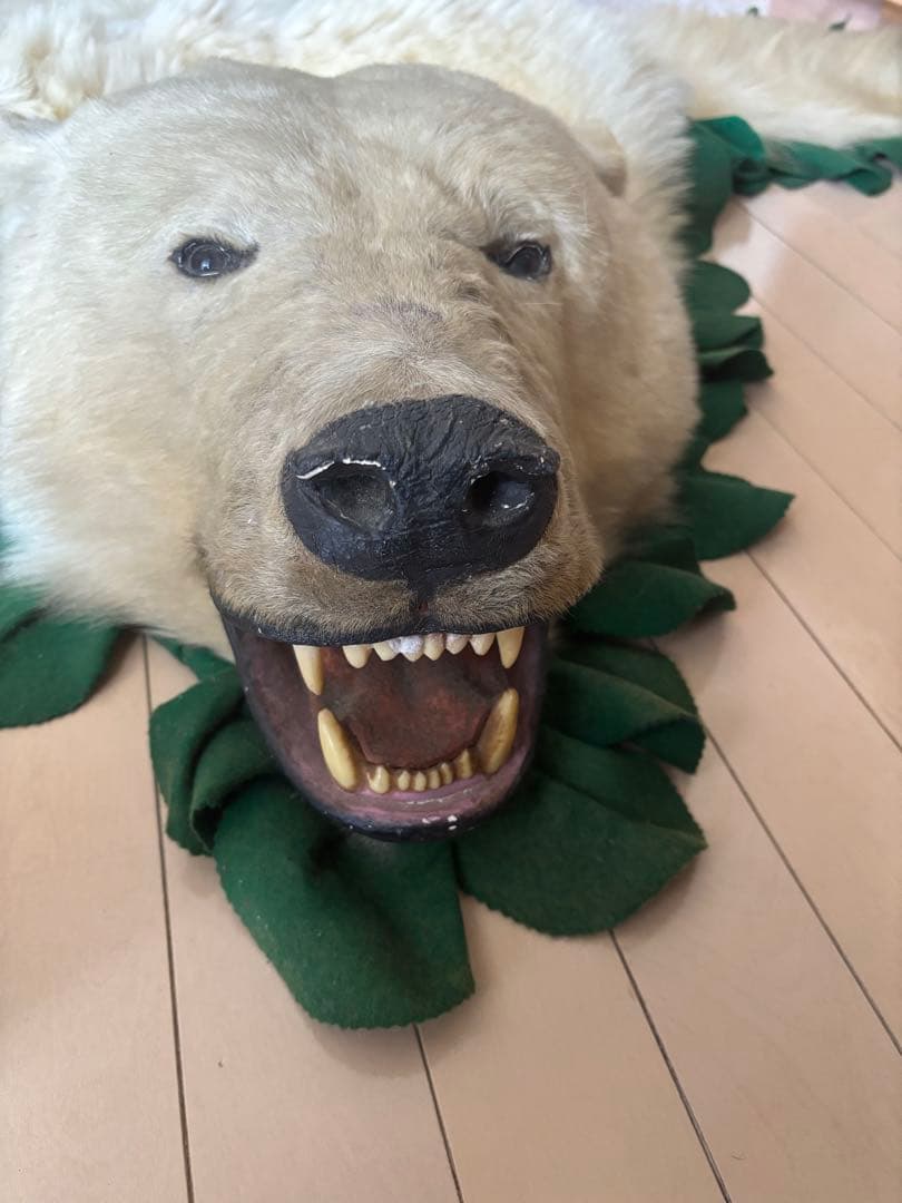 ホッキョクグマの剥製ラグ
