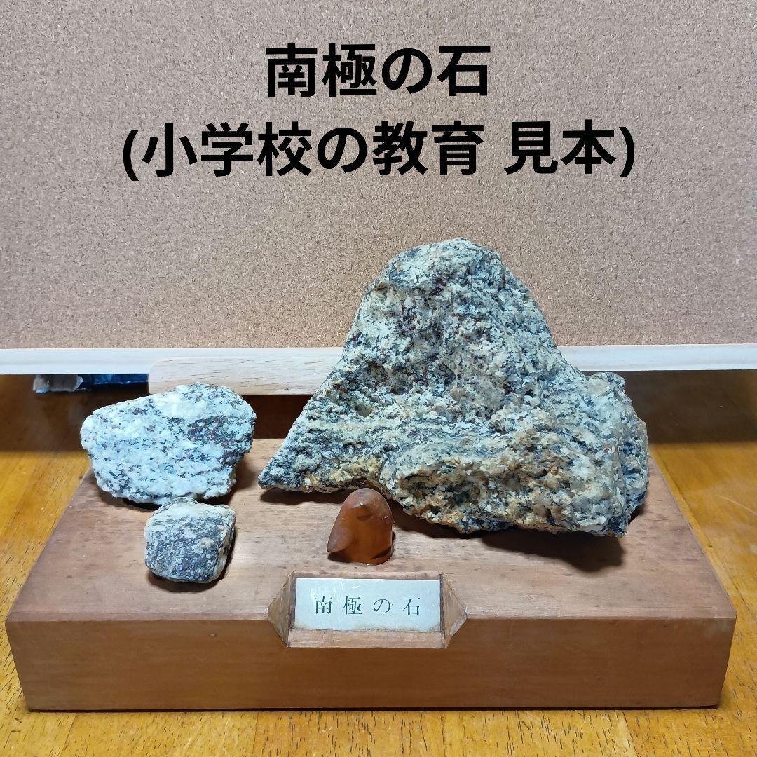 南極の石 教育用見本(廃校になった小学校から頂いたものです)非売品です