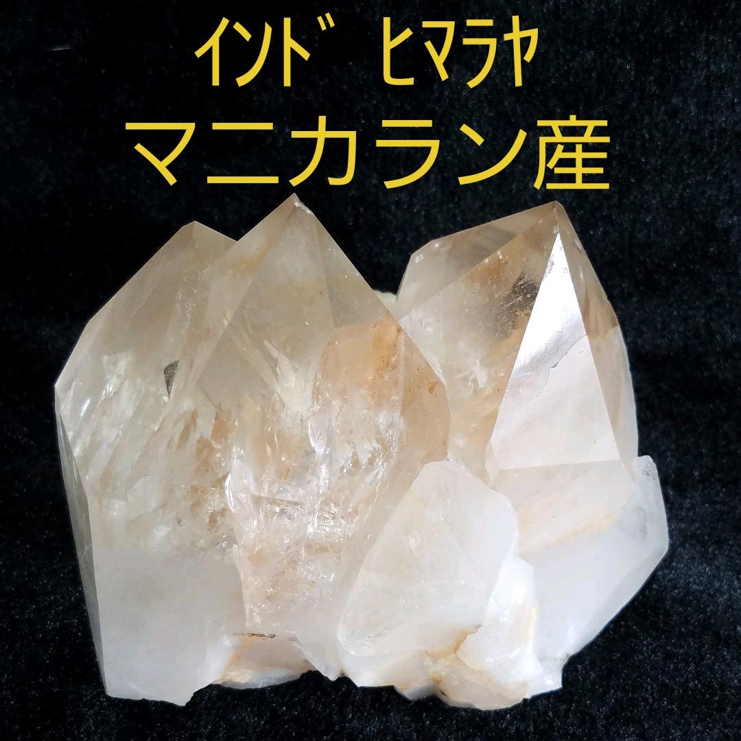 インド　マニカラン産　No1089