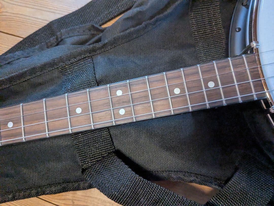 Gold Tone AC-4 Tenor Banjo　テナーバンジョー