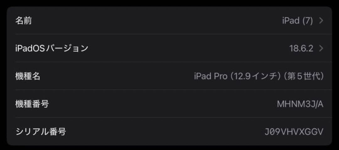 しょくよく　Apple iPad Pro (12.9インチ) 第5世代