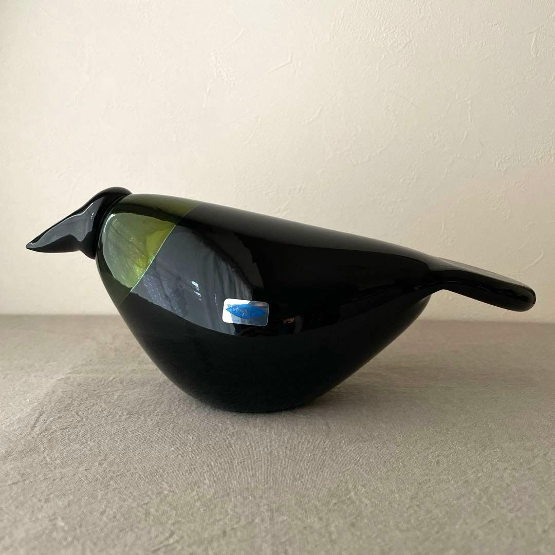 ヌータヤルヴィ　バード　オイバトイッカ　クロウ　カラス