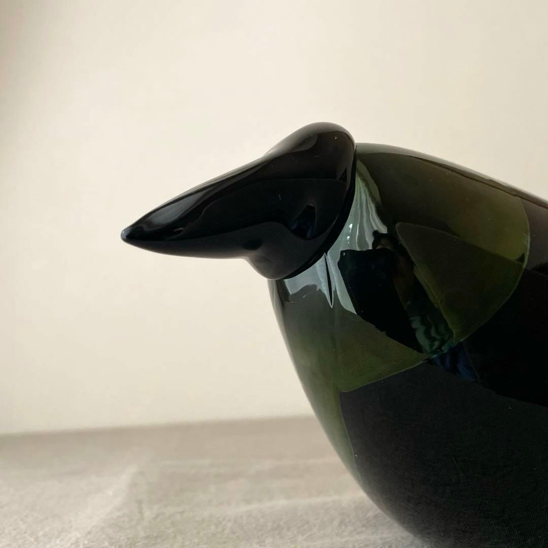 ヌータヤルヴィ　バード　オイバトイッカ　クロウ　カラス