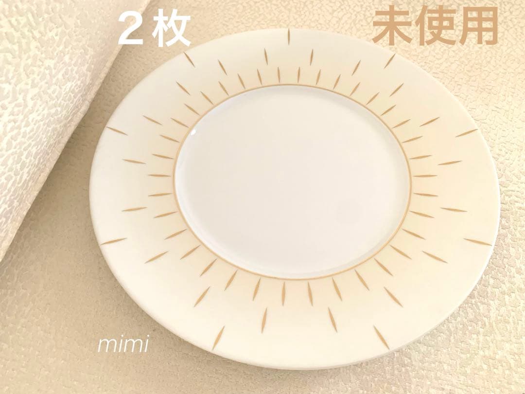 【未使用】本日のみ⭐︎2枚セット　希少　ジャンルイコケ　プレート　ディナー