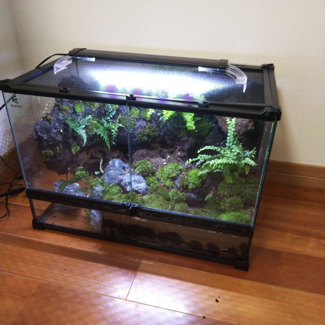 【受注生産】滝のあるアクアテラリウム　イモリウム　苔テラリウム　アクアテラリウム