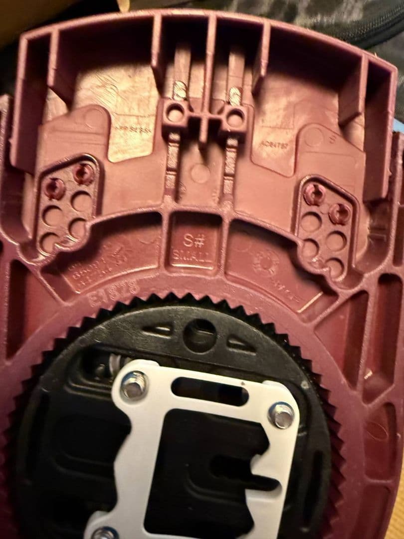 Salomon スノーボード ビンディング パープル